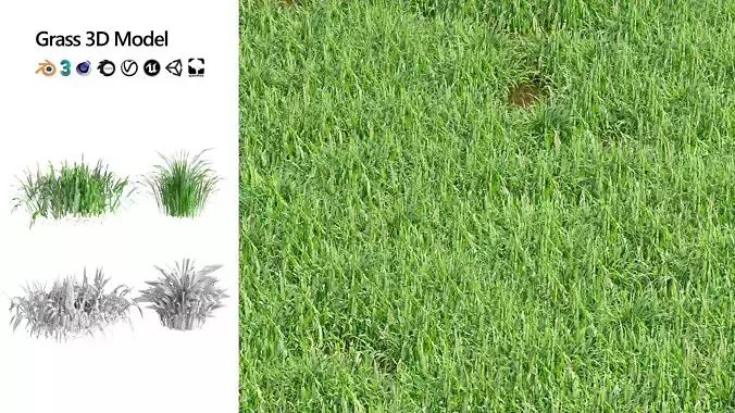grass blades 3d model Low-poly 3D model