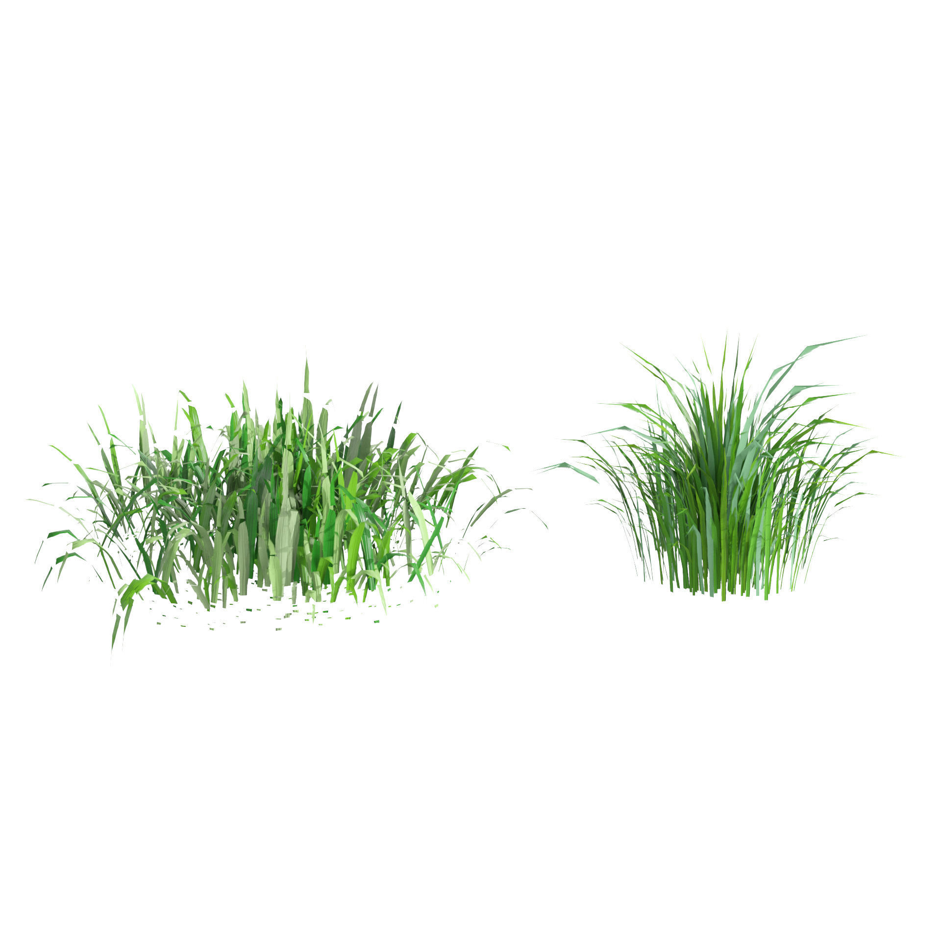 grass blades 3d model Low-poly 3D model_2