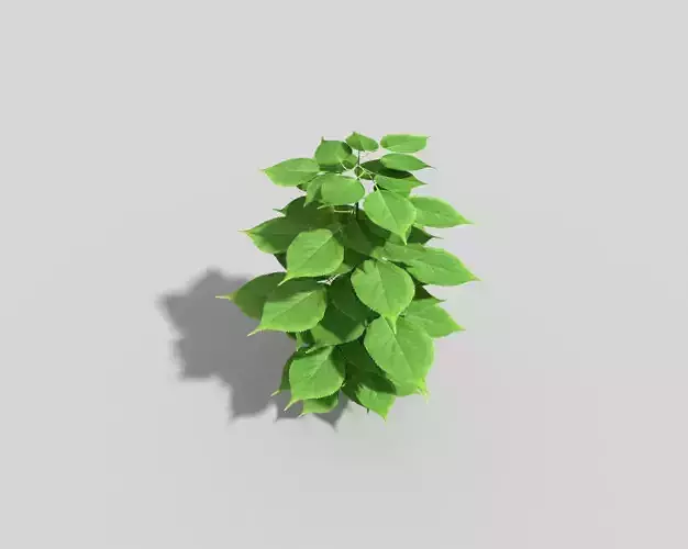 Low poly Plant