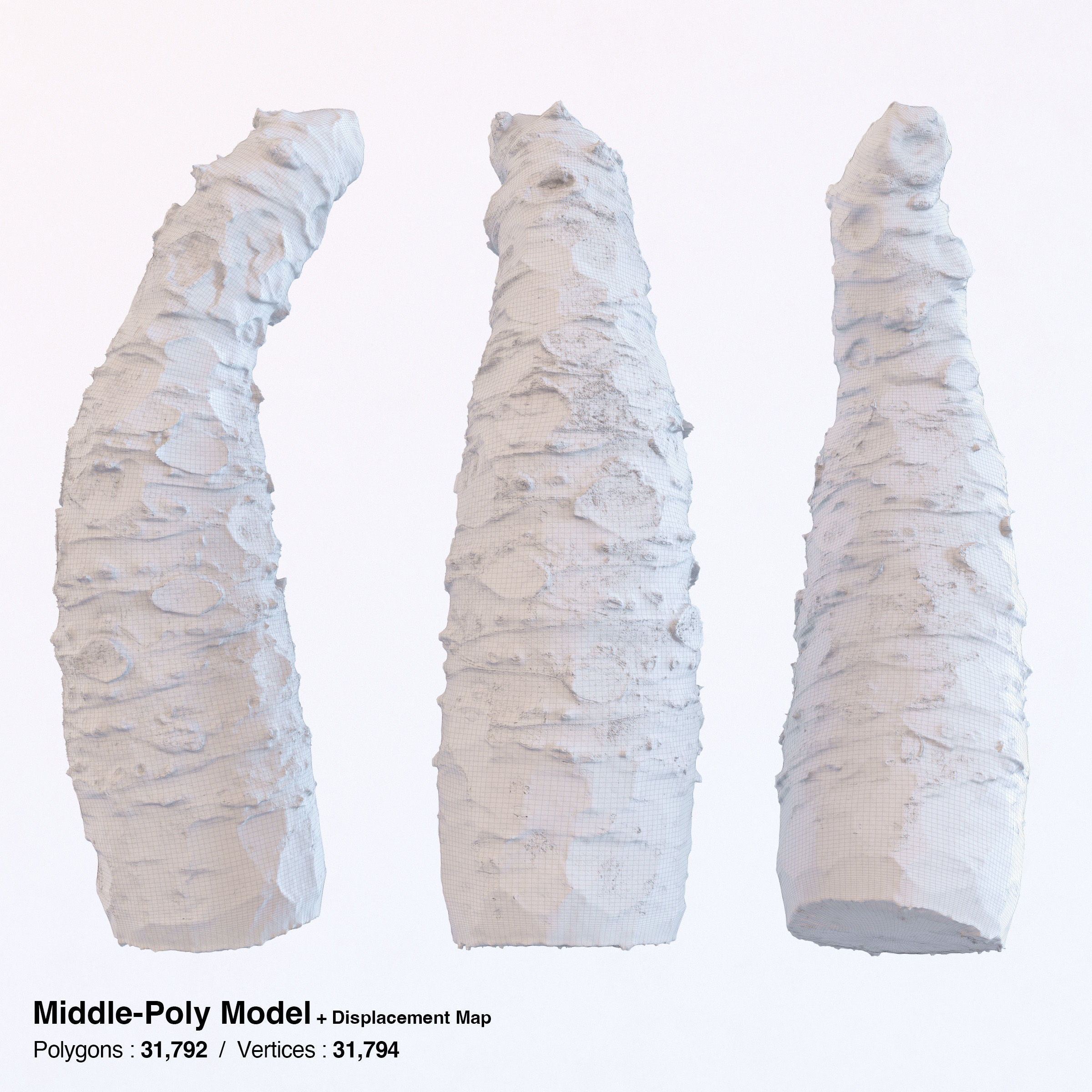 Sharkskin Wasabi Grater Set - Japanese horseradish Low-poly 3D model_23