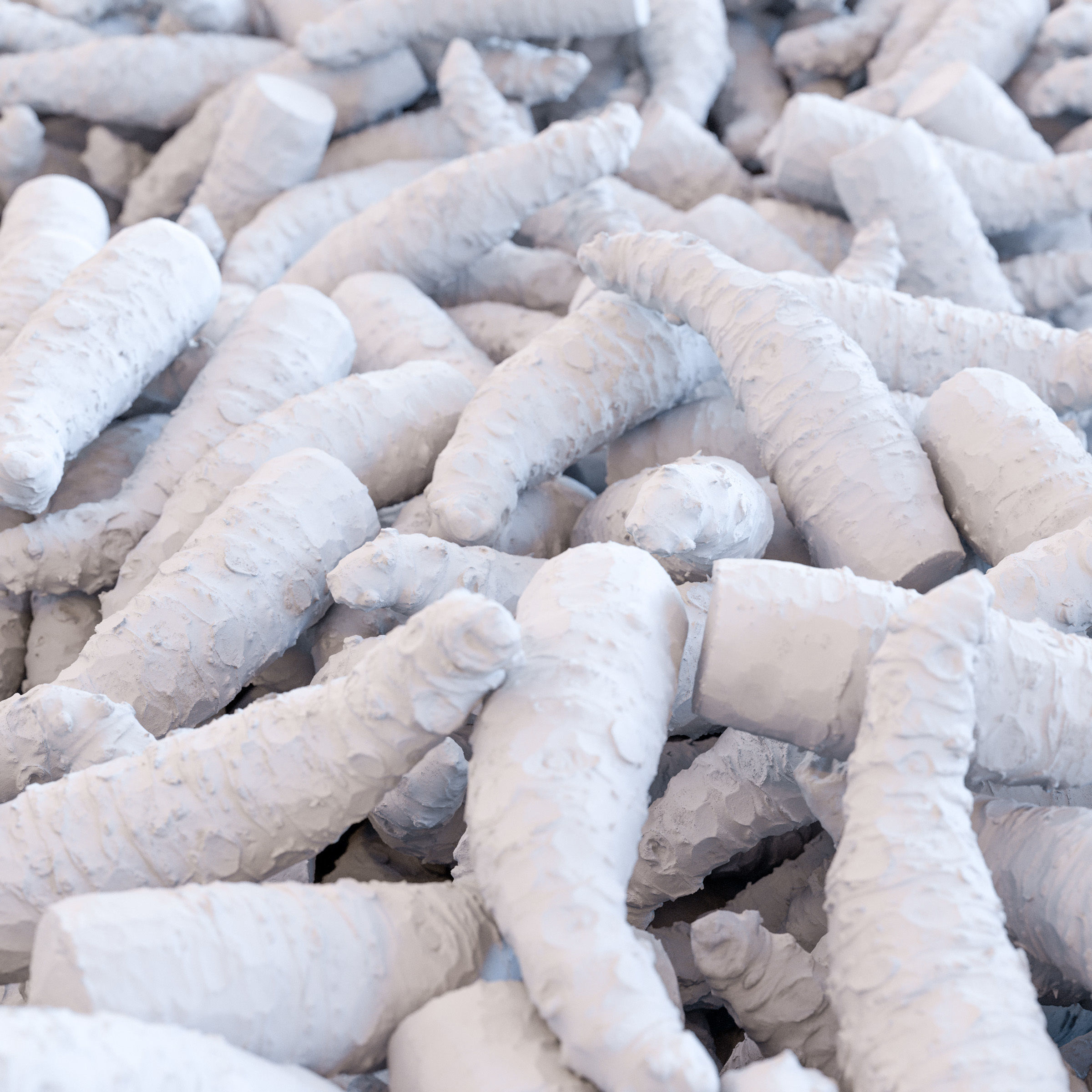 Sharkskin Wasabi Grater Set - Japanese horseradish Low-poly 3D model_9