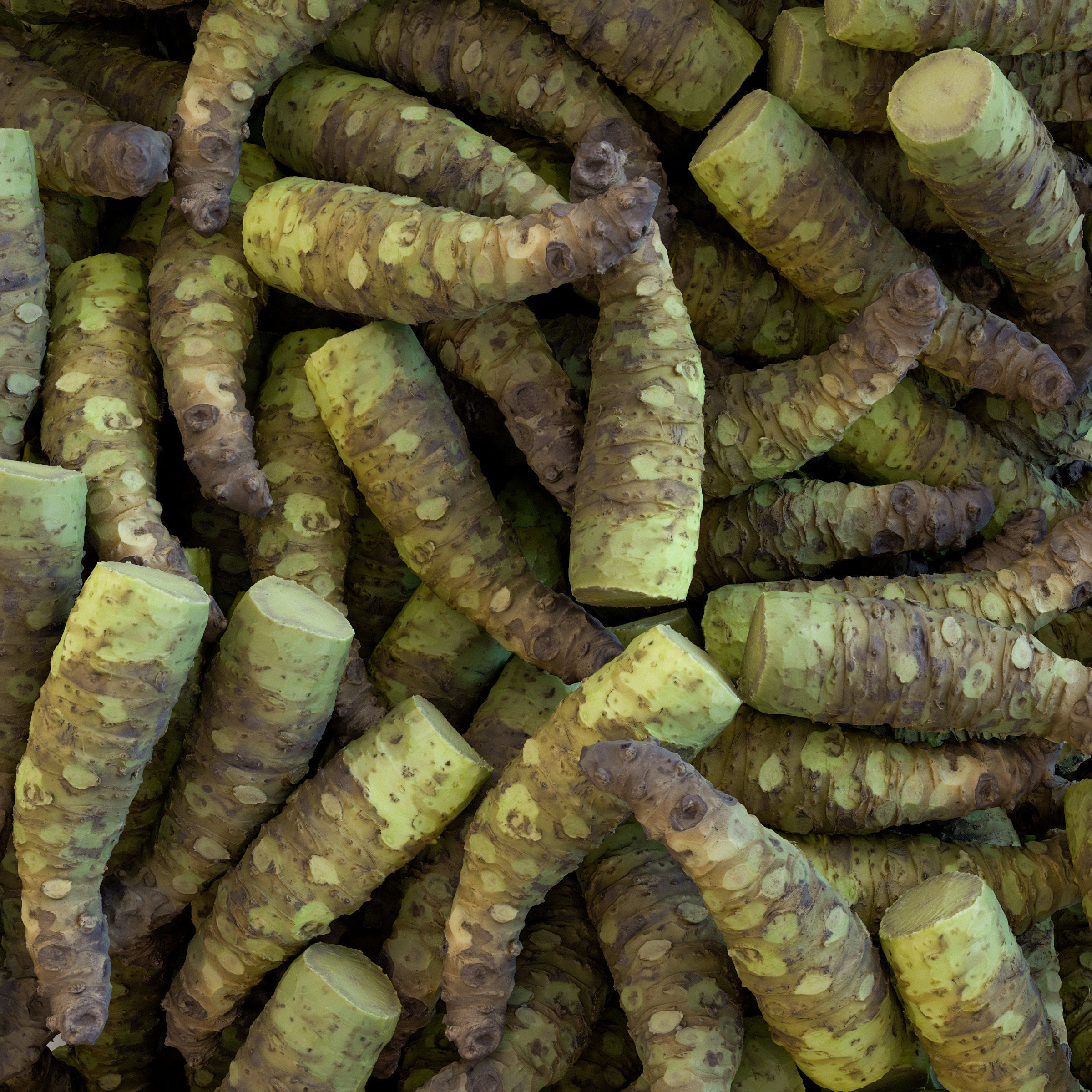 Sharkskin Wasabi Grater Set - Japanese horseradish Low-poly 3D model_6