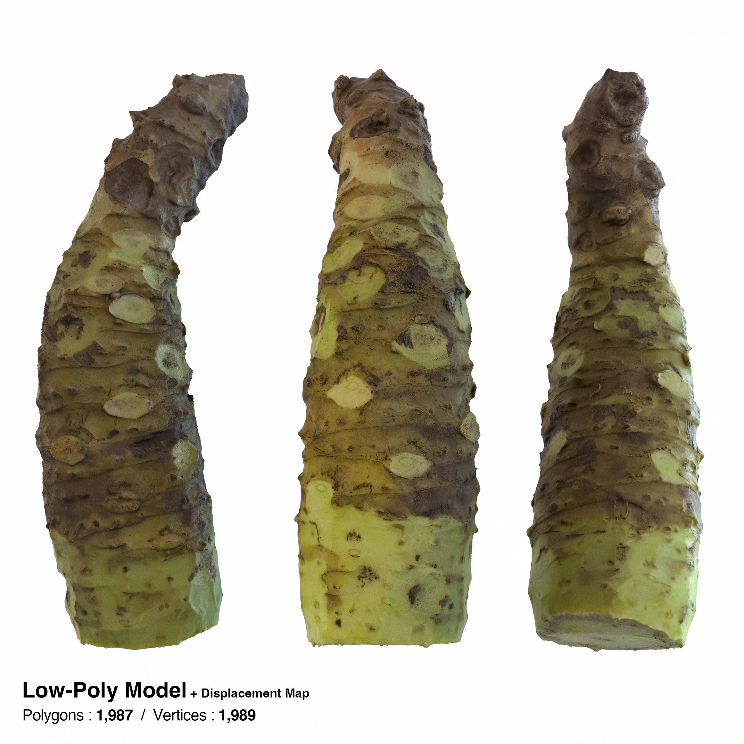 Sharkskin Wasabi Grater Set - Japanese horseradish Low-poly 3D model_25