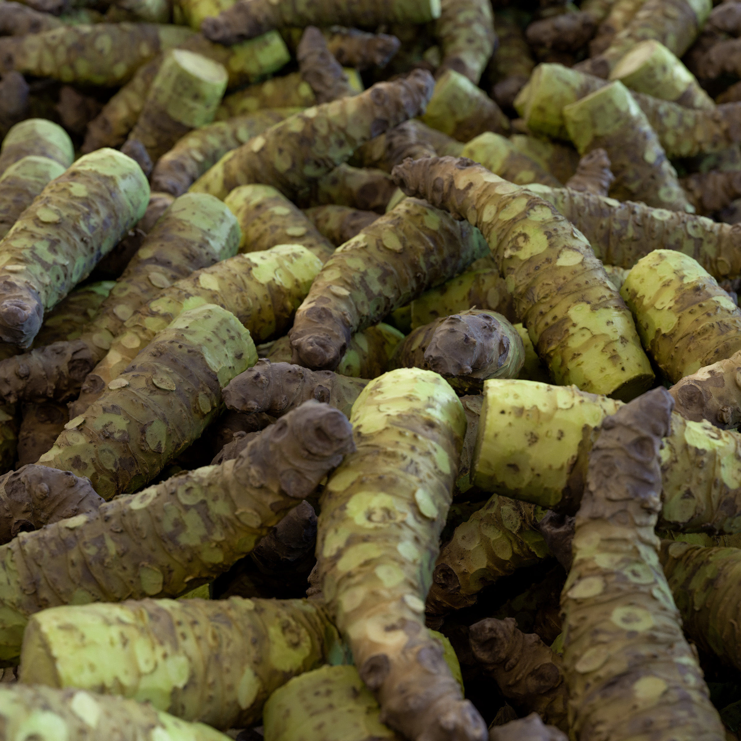 Sharkskin Wasabi Grater Set - Japanese horseradish Low-poly 3D model_7