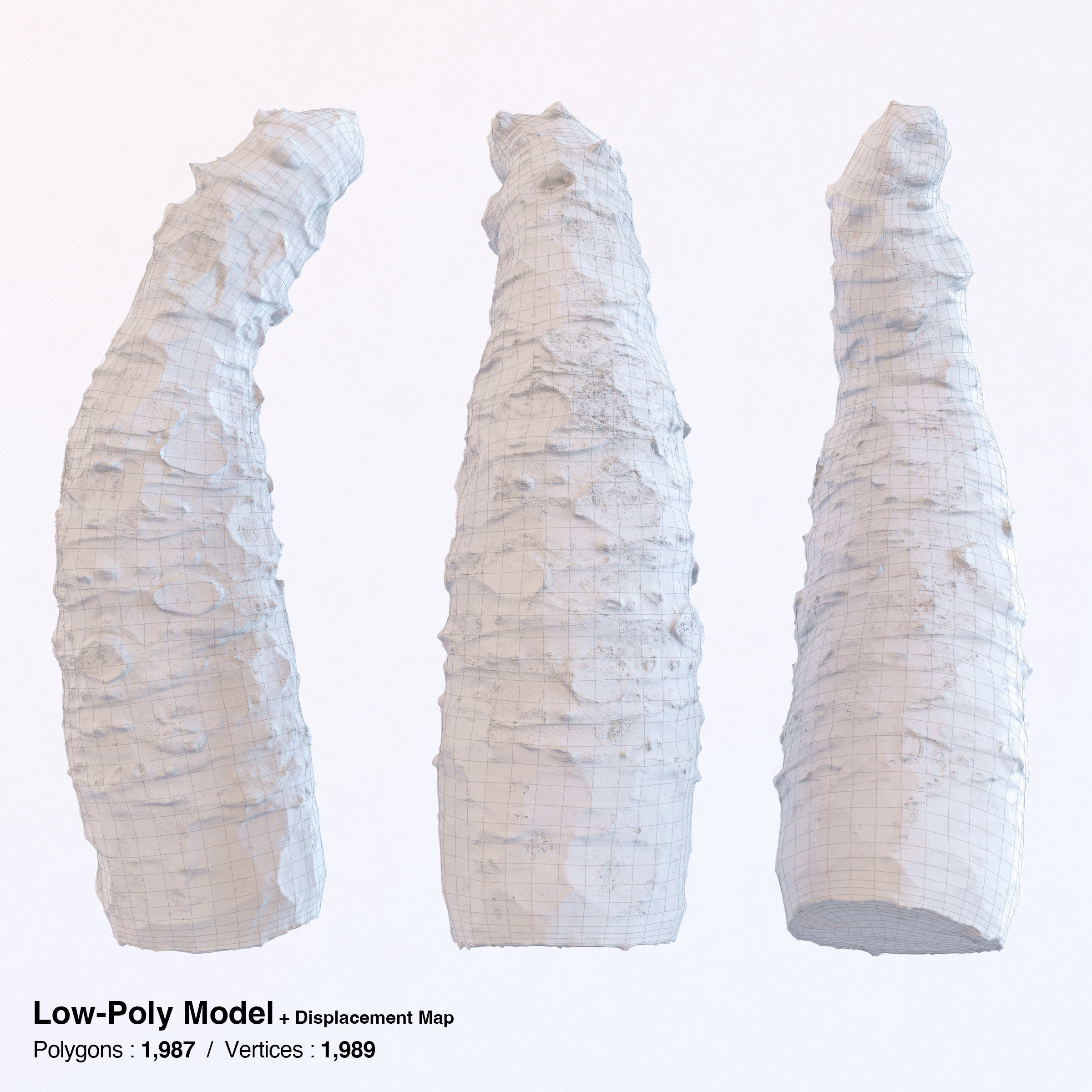 Sharkskin Wasabi Grater Set - Japanese horseradish Low-poly 3D model_26