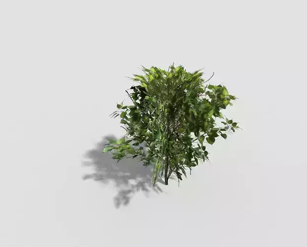low poly shrub tree Low-poly 3D model