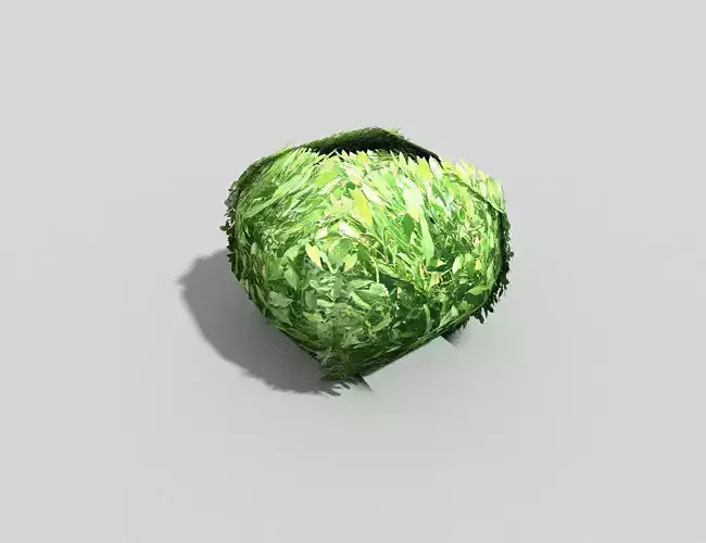 low poly shrub leaf Low-poly 3D model