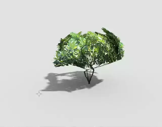 low poly tree plant Low-poly 3D model