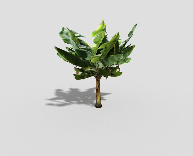 low poly banana tree Low-poly 3D model