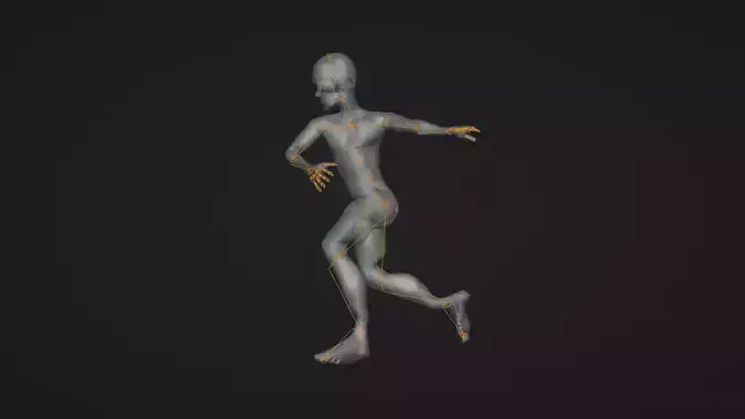Armature Rig Animated 3D model