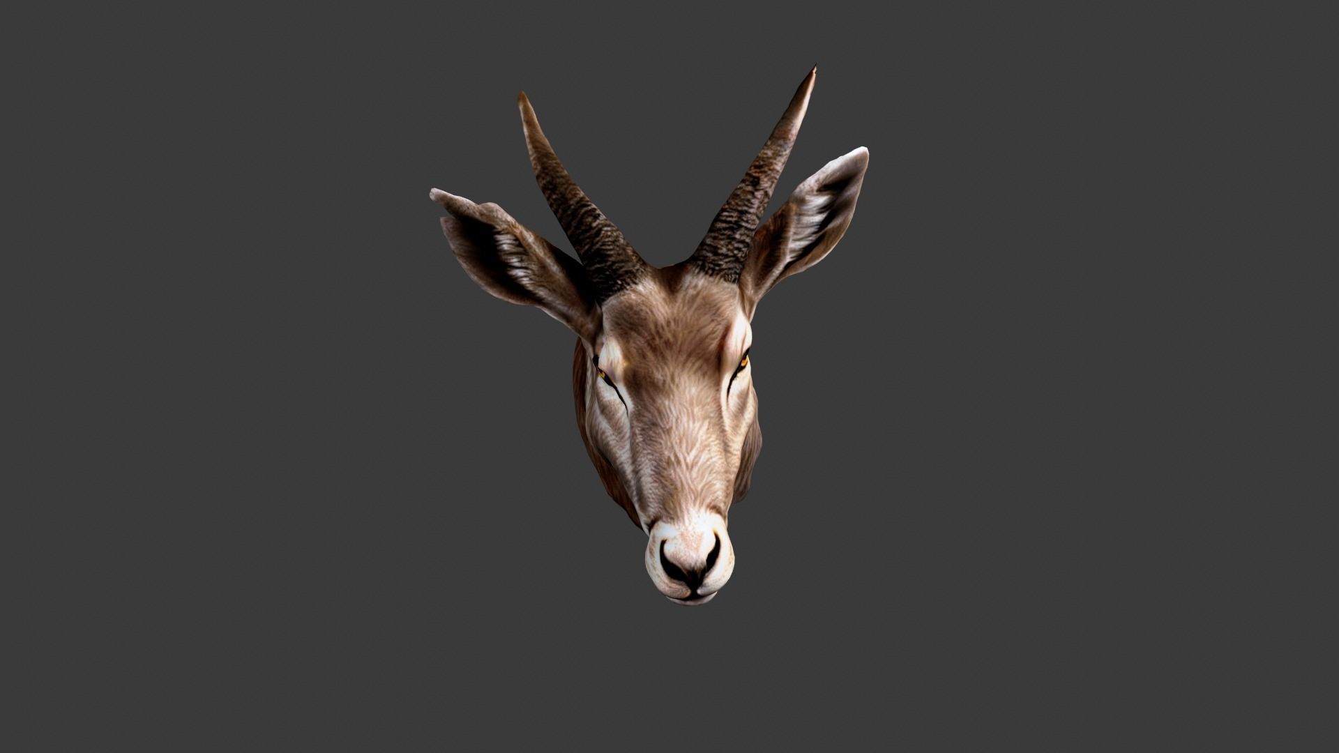Deer Animal Head Low-poly 3D model_1