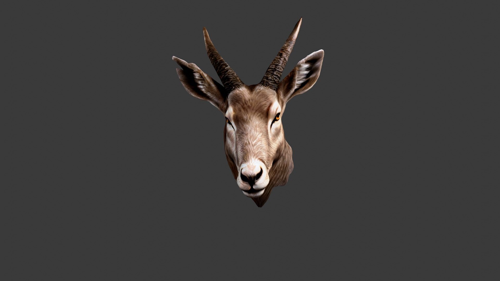 Deer Animal Head Low-poly 3D model_2