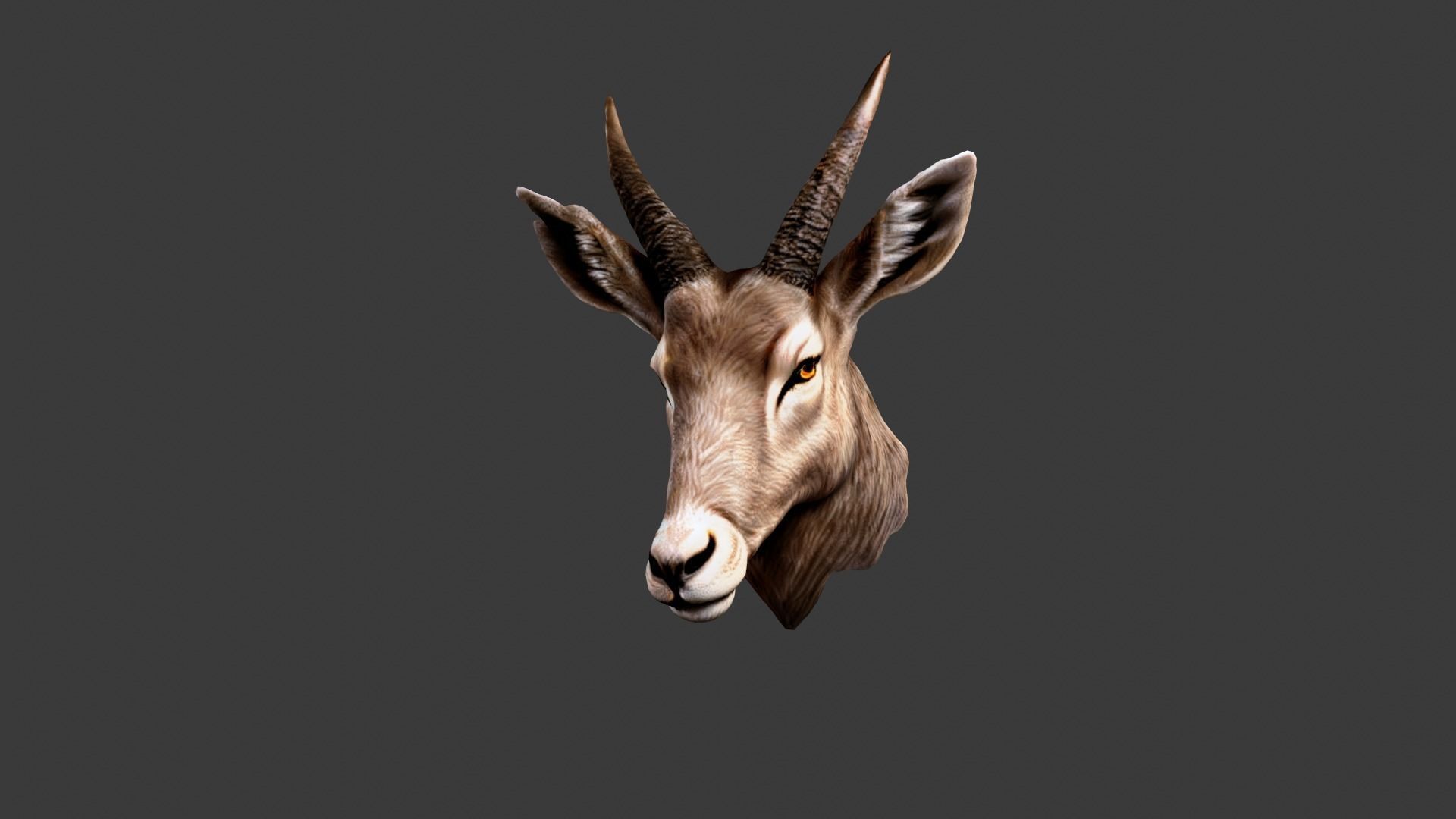 Deer Animal Head Low-poly 3D model_5