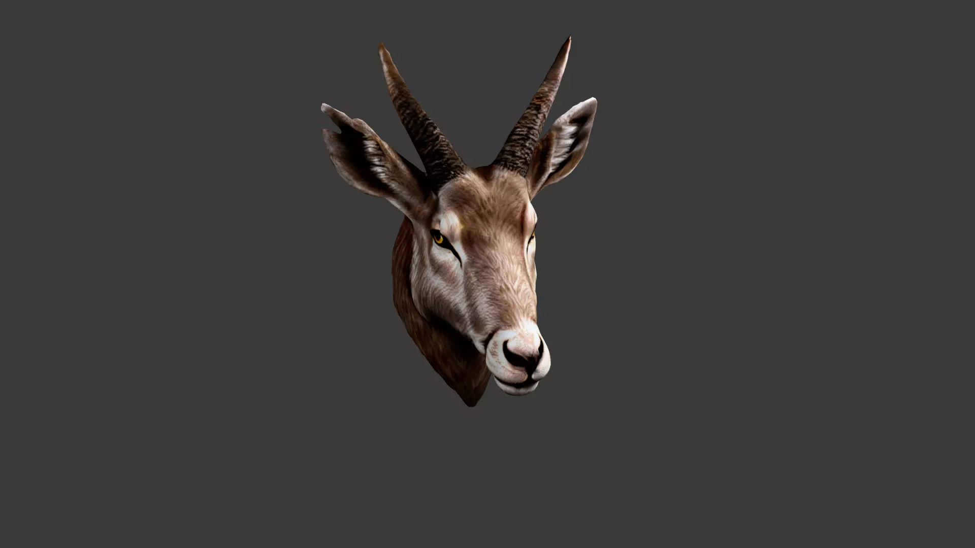Deer Animal Head Low-poly 3D model_0
