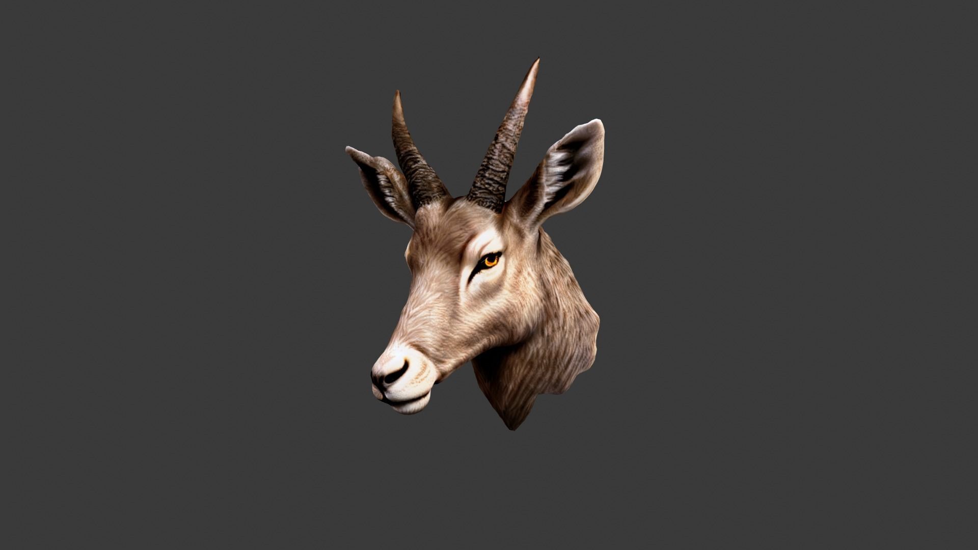 Deer Animal Head Low-poly 3D model_3