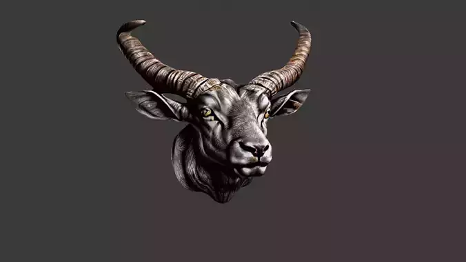 Bull Animal Head