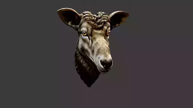 Animal Head