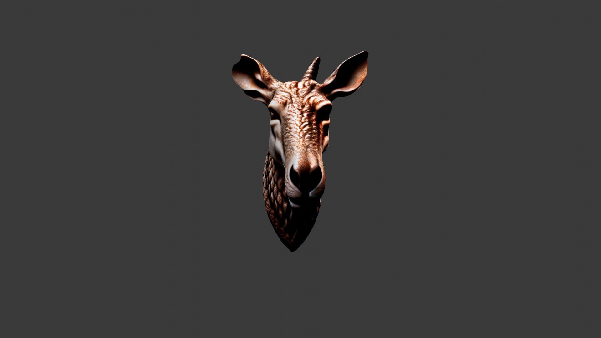 Animal Head Low-poly 3D model_2