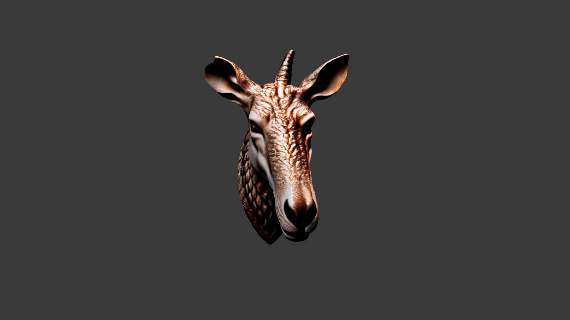 Animal Head Low-poly 3D model_3