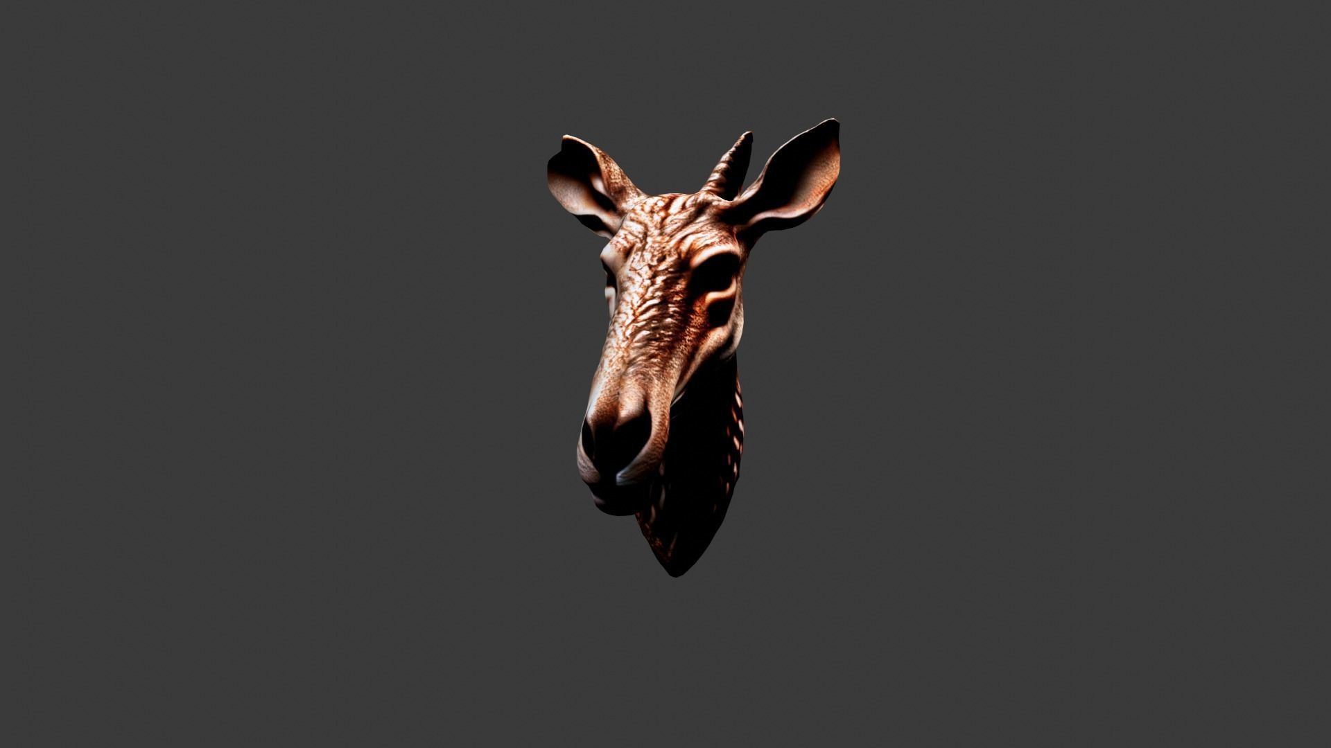 Animal Head Low-poly 3D model_5