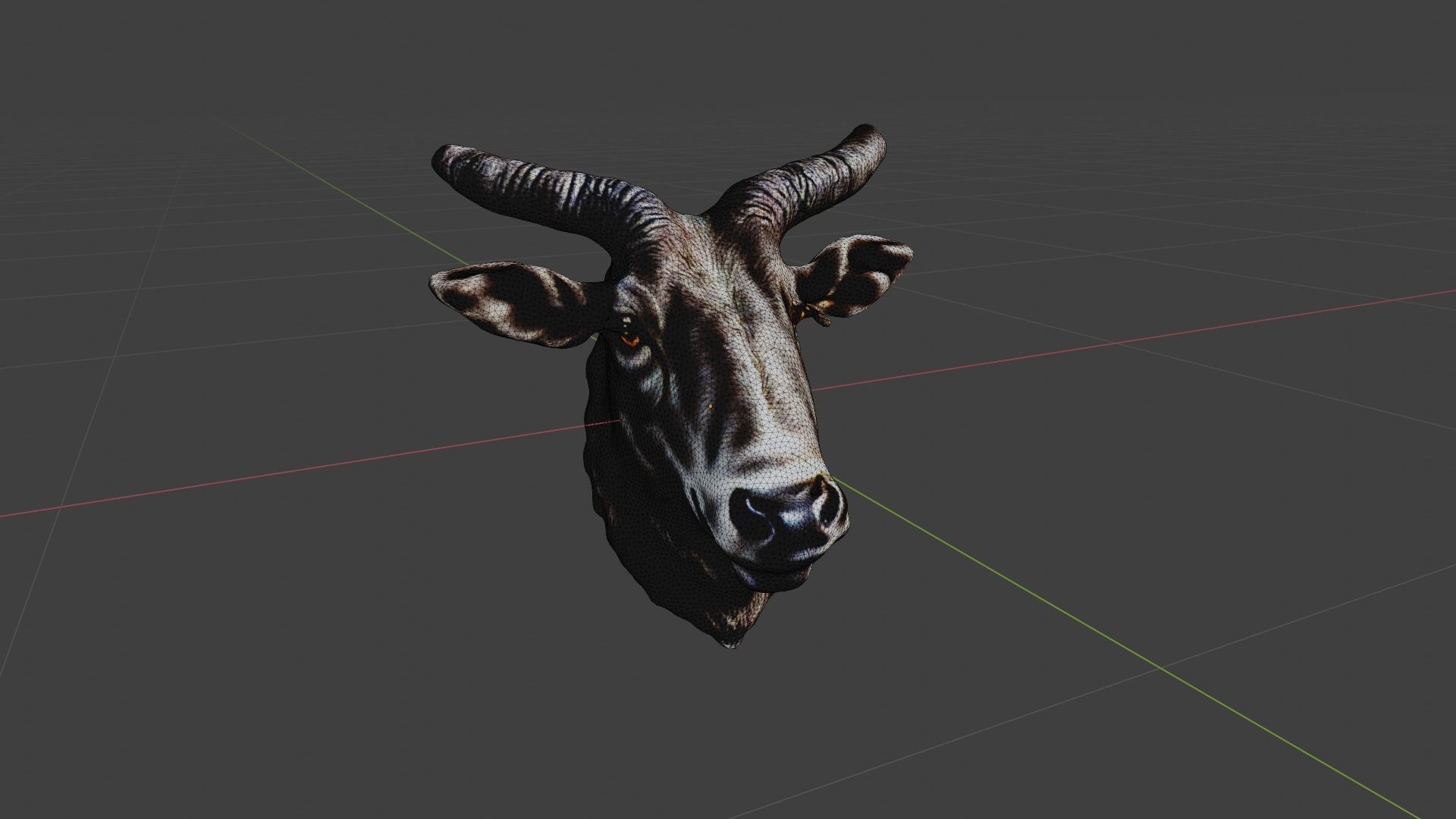 Bull Animal Head Low-poly 3D model_6
