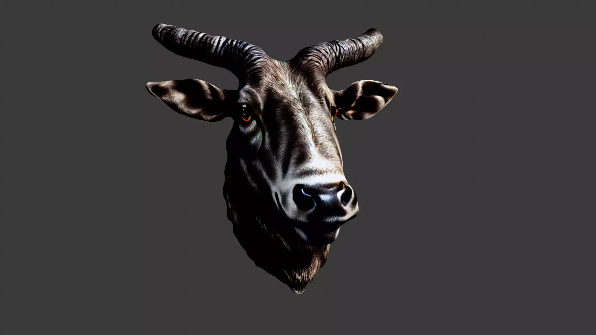 Bull Animal Head Low-poly 3D model_0