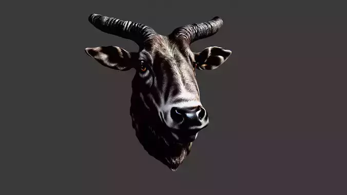 Bull Animal Head