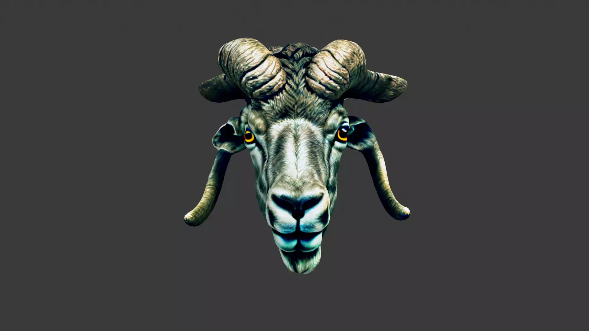 Deer Animal Head Low-poly 3D model