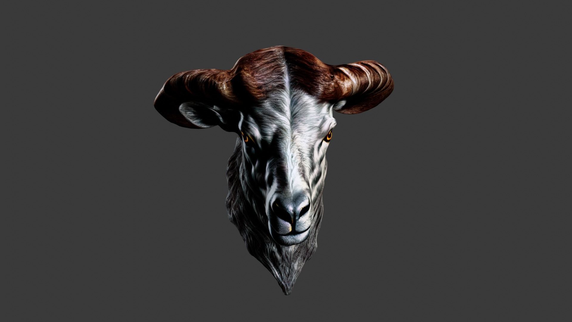 Animal Head Low-poly 3D model_3