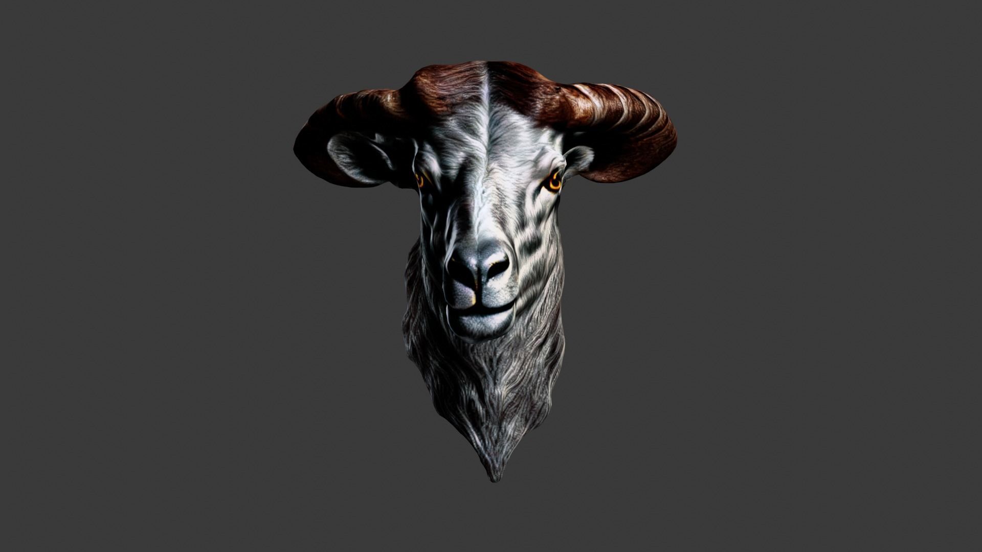 Animal Head Low-poly 3D model_2