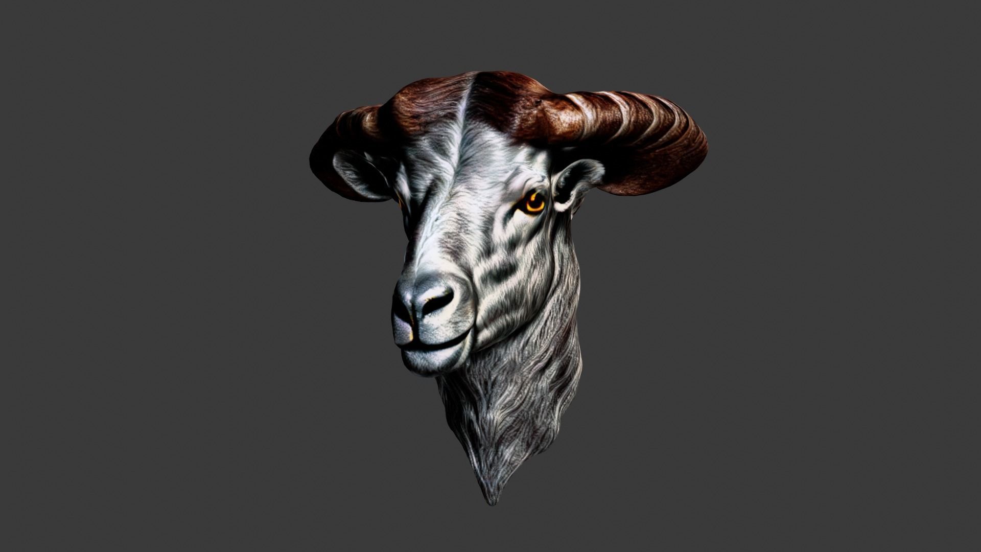 Animal Head Low-poly 3D model_5