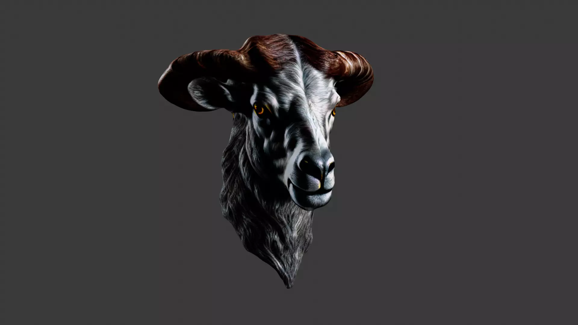 Animal Head Low-poly 3D model_0