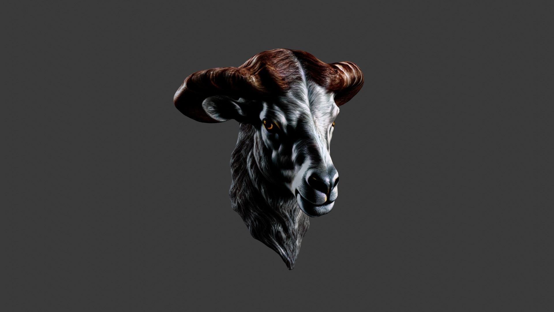 Animal Head Low-poly 3D model_4