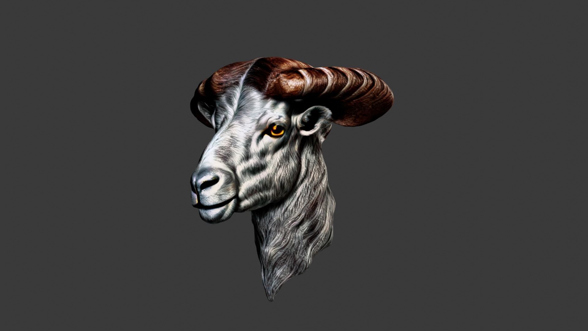 Animal Head Low-poly 3D model_1