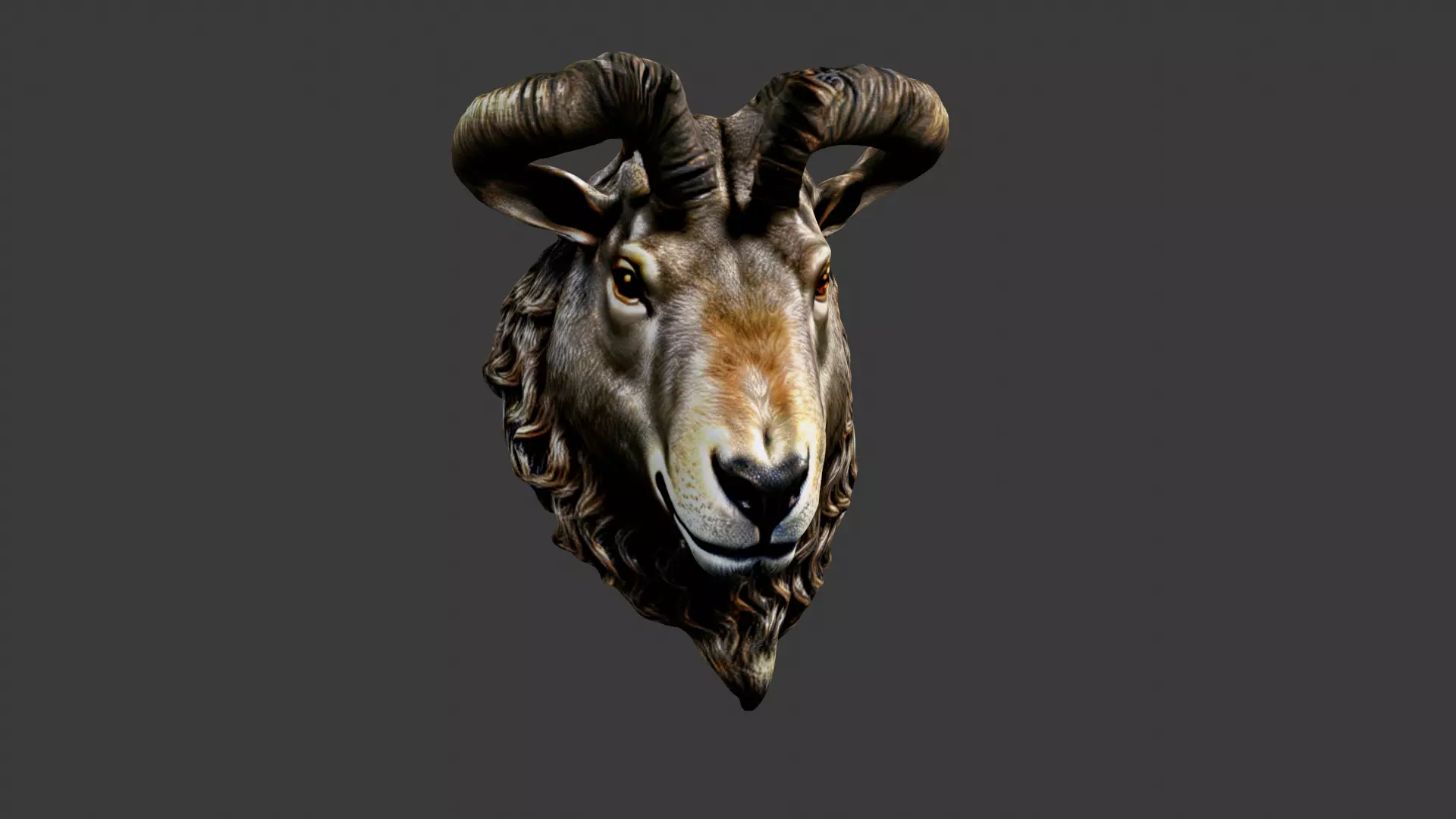 Animal Head Low-poly 3D model