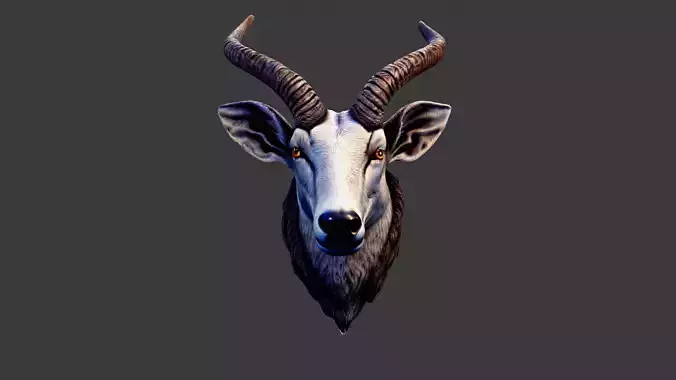 Deer Animal Head