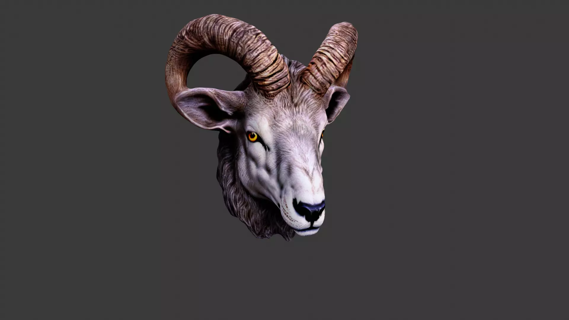 Deer Animal Head Low-poly 3D model