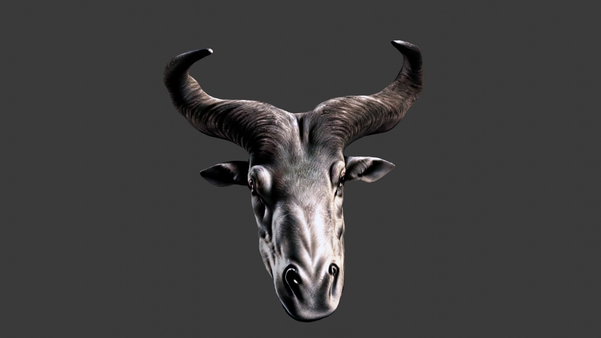 Deer Animal Head Low-poly 3D model_3