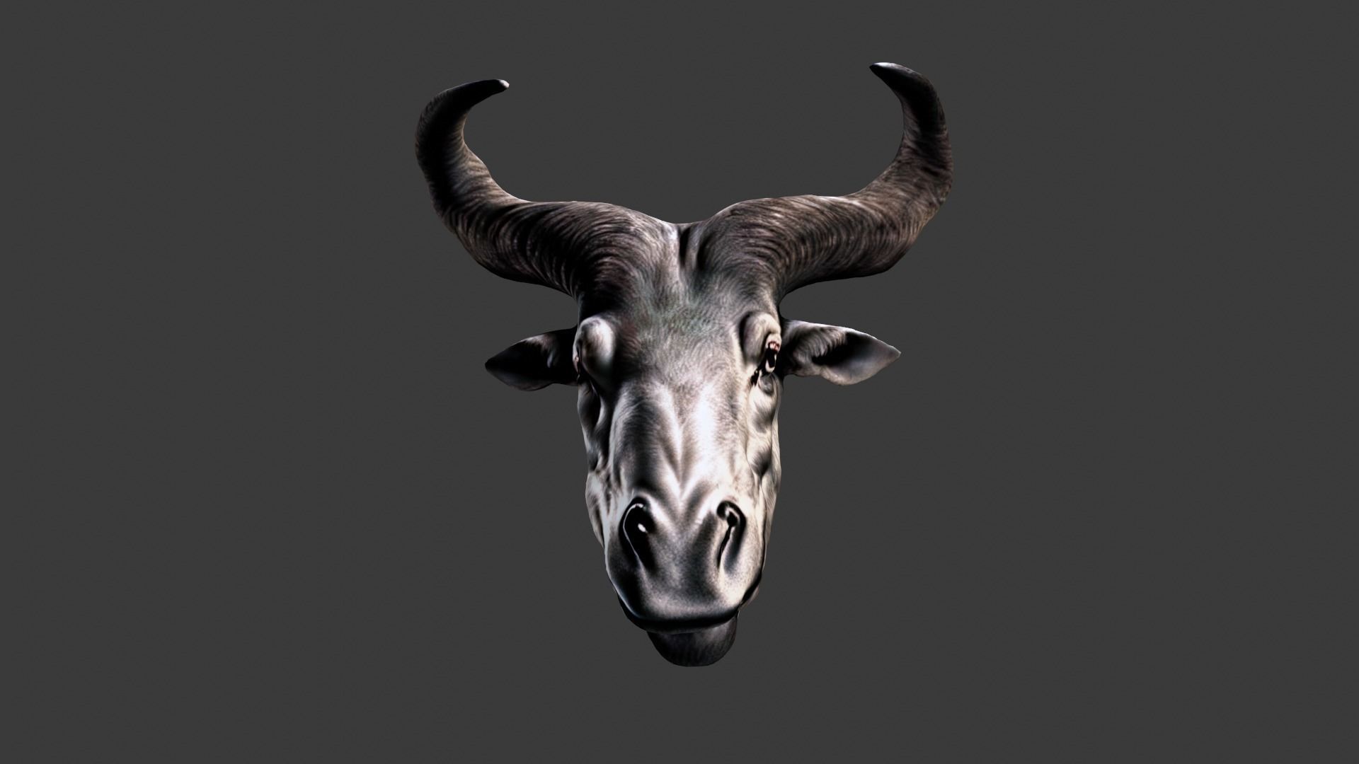 Deer Animal Head Low-poly 3D model_1