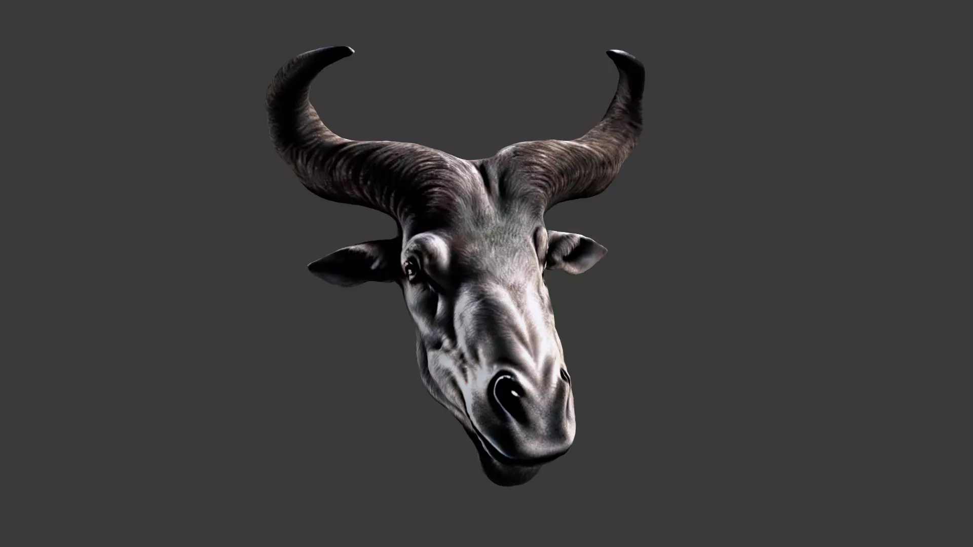 Deer Animal Head Low-poly 3D model_0