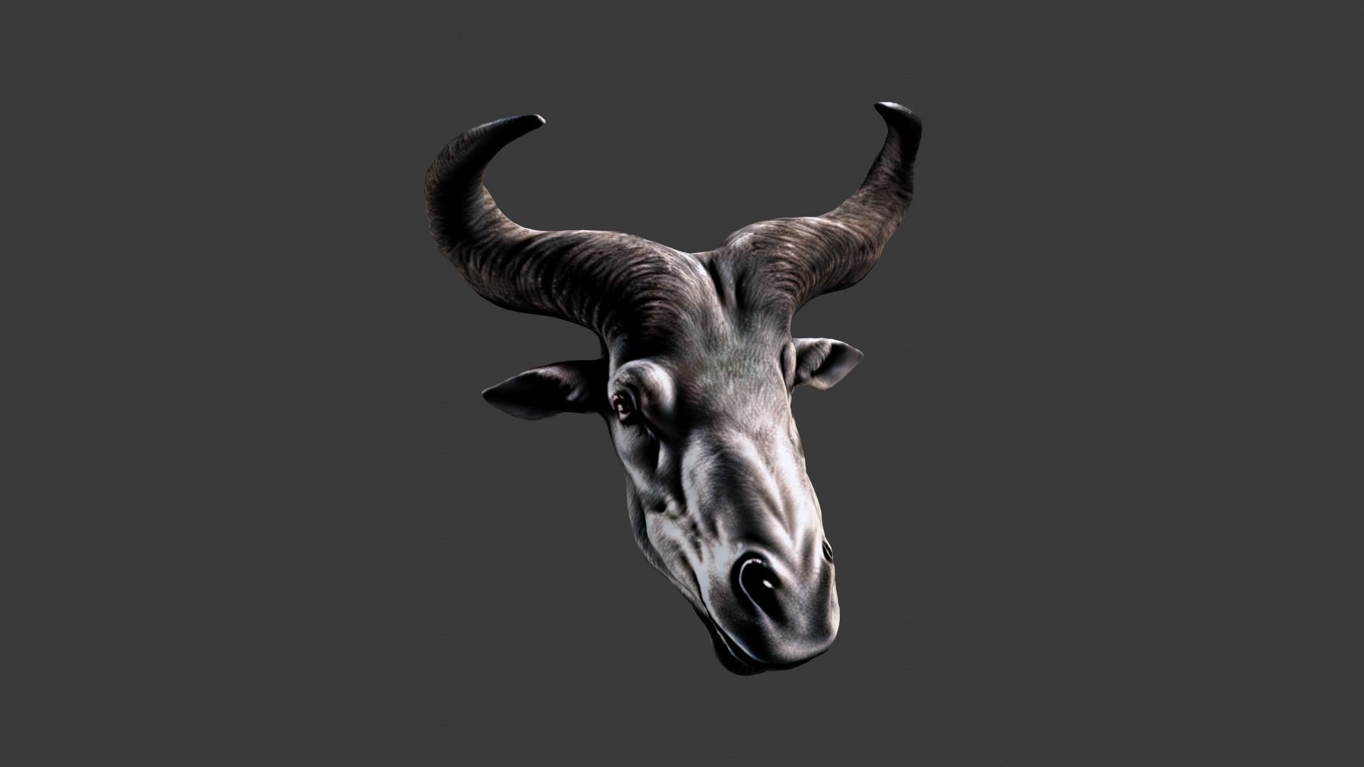 Deer Animal Head Low-poly 3D model_4