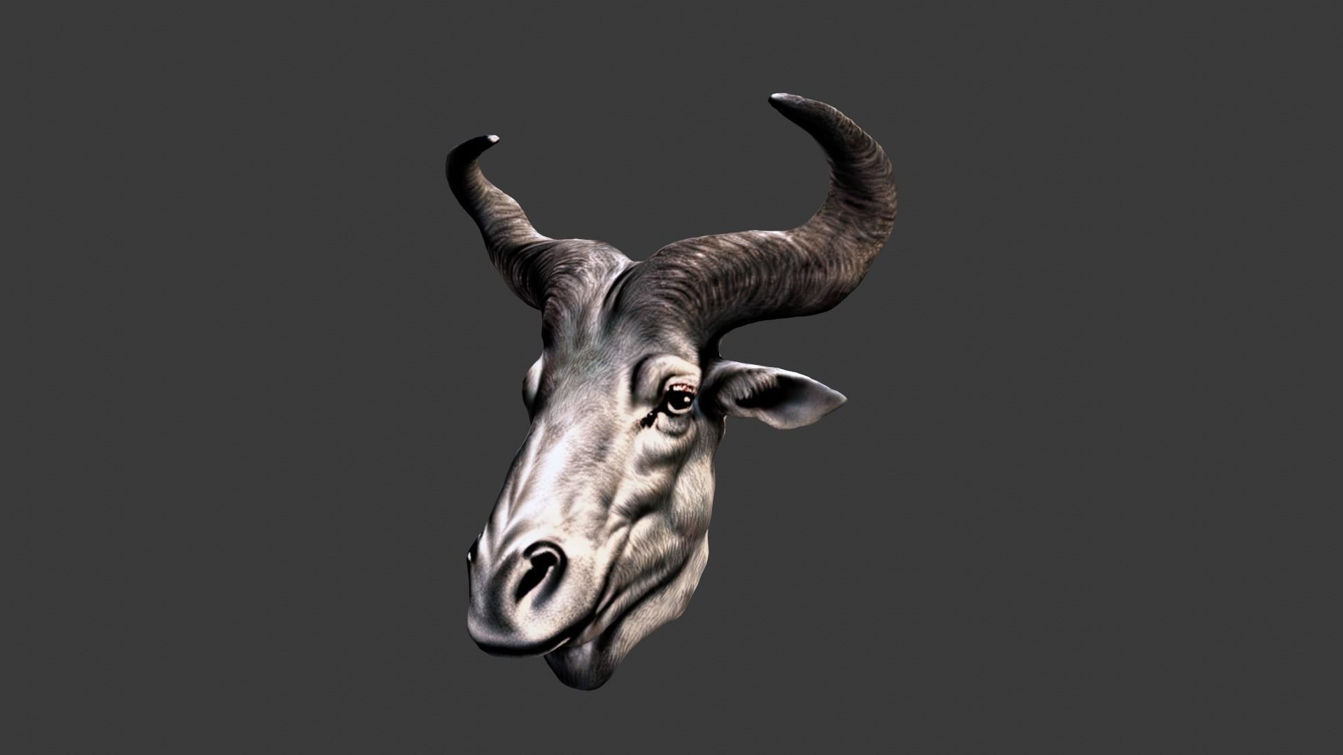 Deer Animal Head Low-poly 3D model_2