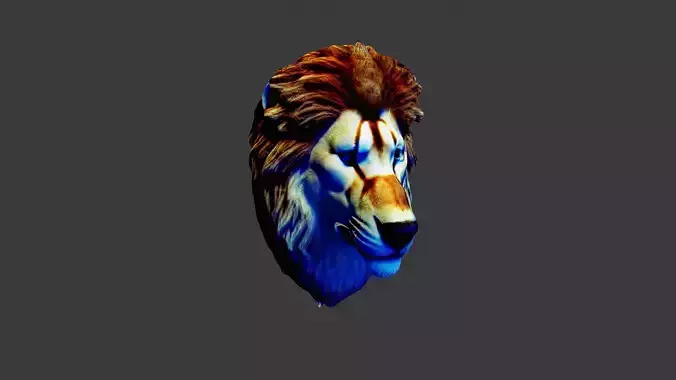Lion Animal Head