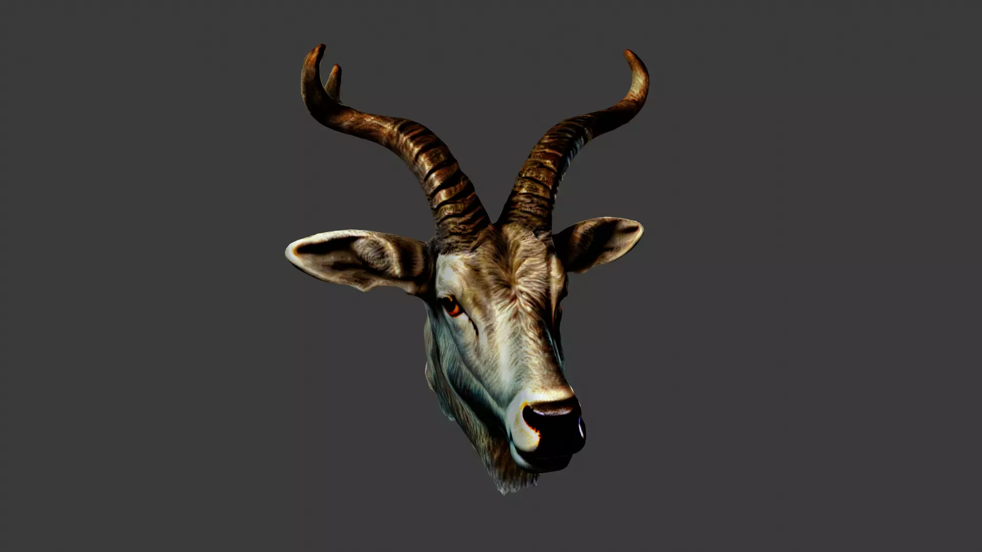 Deer Animal Head Low-poly 3D model_0
