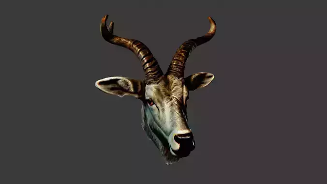 Deer Animal Head