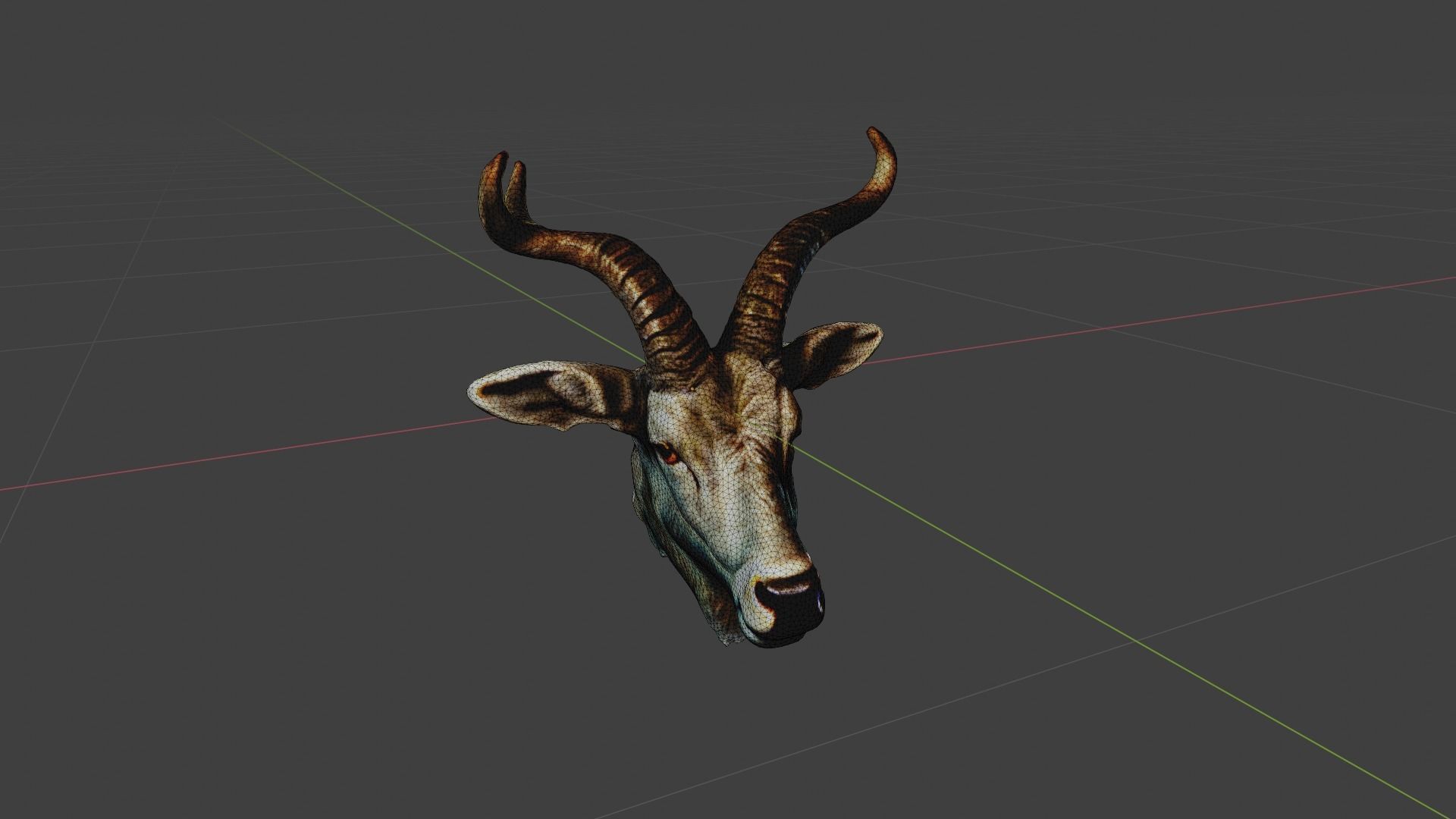Deer Animal Head Low-poly 3D model_6