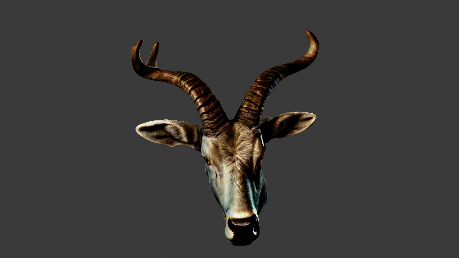 Deer Animal Head Low-poly 3D model_3