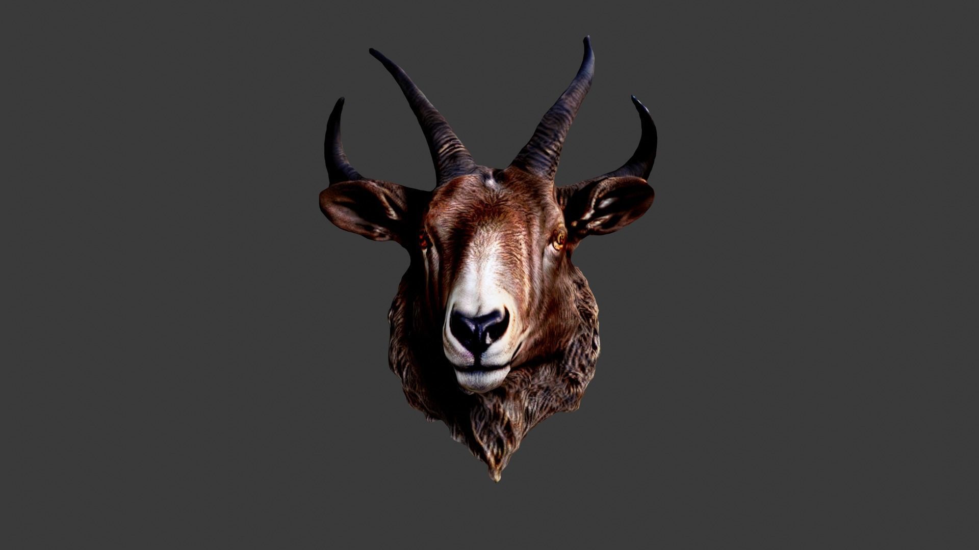 Animal Head Low-poly 3D model_1