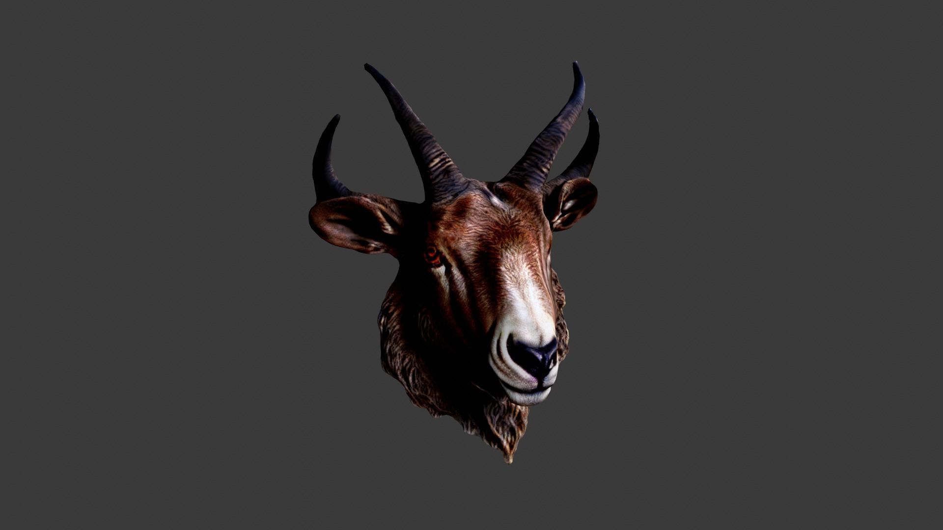 Animal Head Low-poly 3D model_4