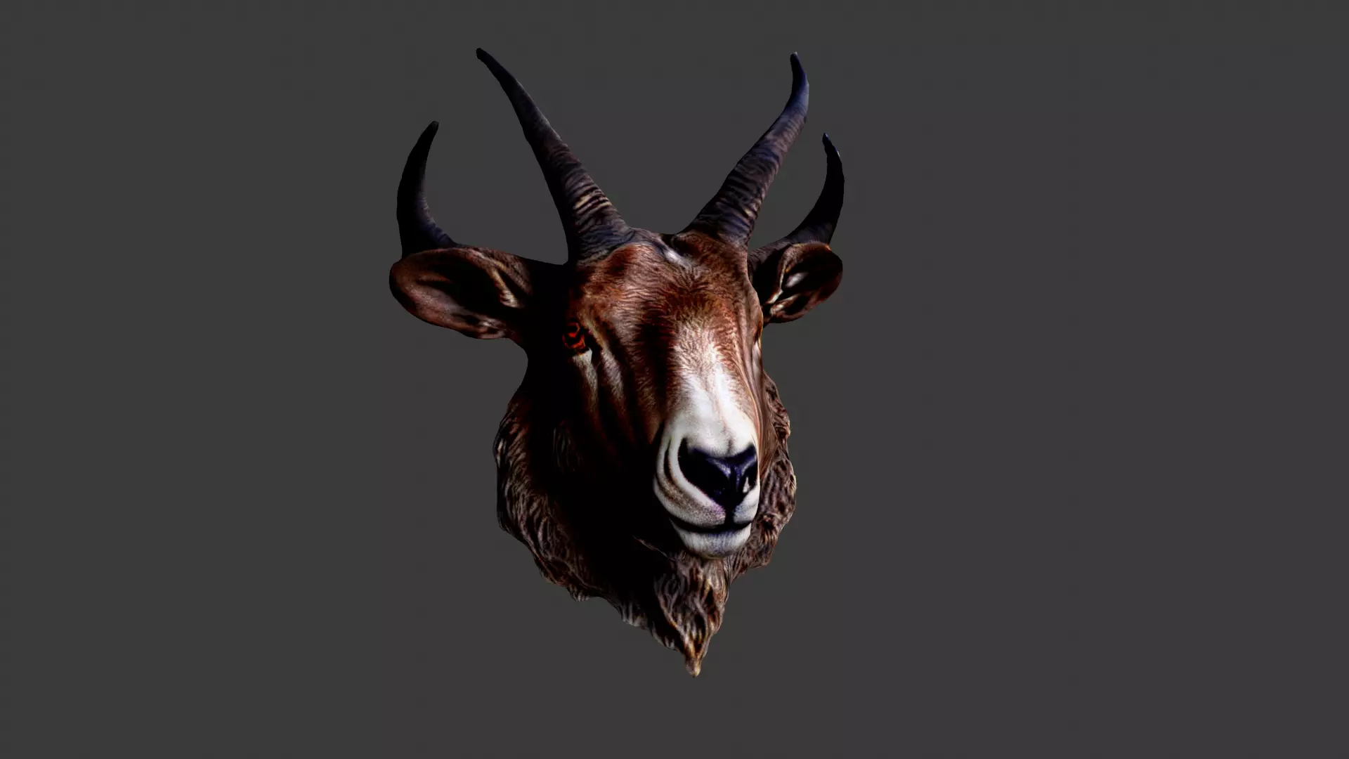 Animal Head Low-poly 3D model_0